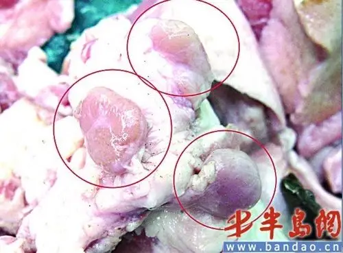 青岛城阳:千余斤"淋巴肉"被查
