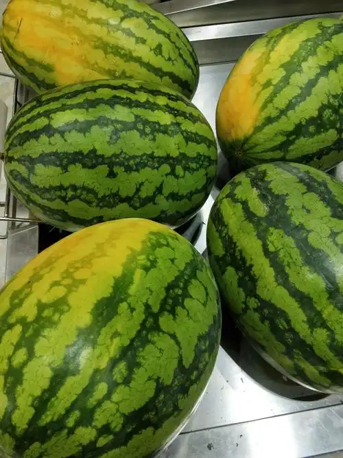 花皮西瓜只要0.88元一斤