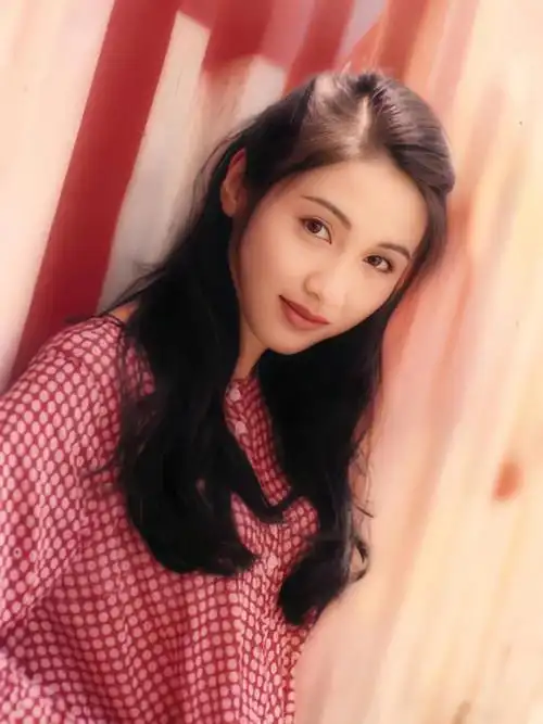 90年代最美女神之黎姿明星都羡慕的神颜