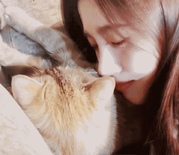 好甜#来吃醋(人不如猫系列78)我想魂穿鞠婧祎抱过的所有93提问