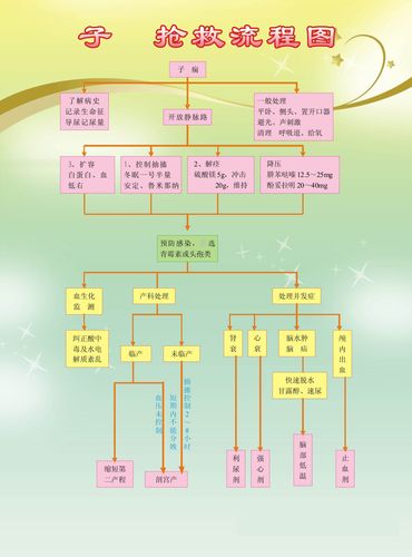 729海报印制展板写真喷绘289医院急救抢救流程图3子痫抢救流程图