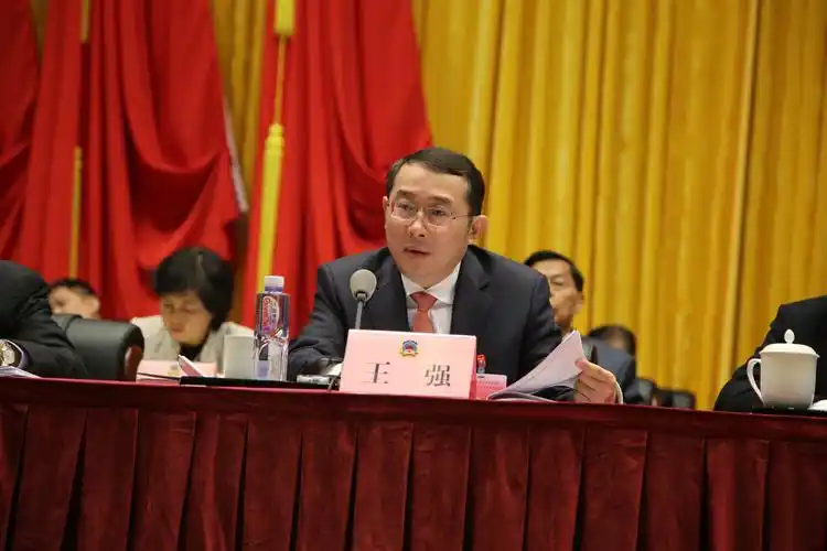 王强书记在区政协五届四次会议上作重要讲话