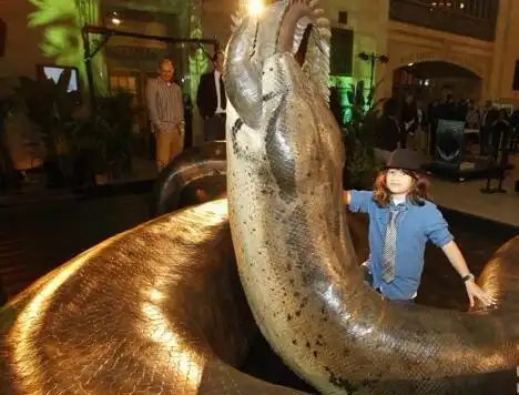 人类已知最大的蛇类,史前塞雷洪泰坦蟒长15米