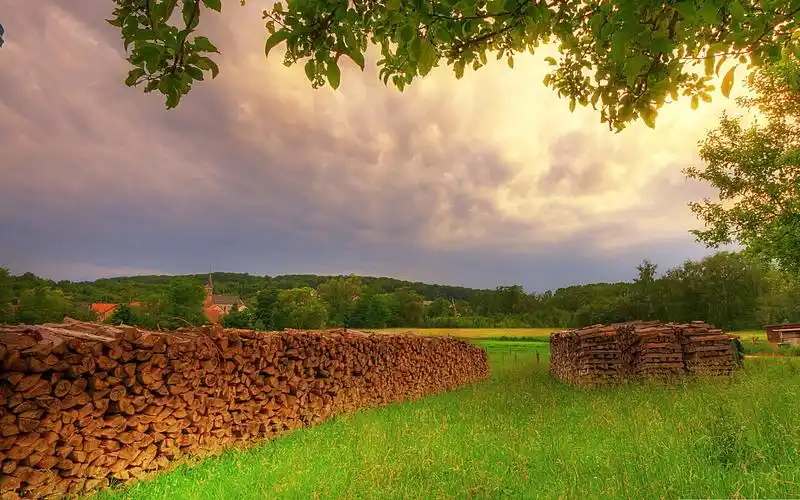 草甸夏季-美丽自然风光桌面壁纸 - 2560x1600 壁纸 下载