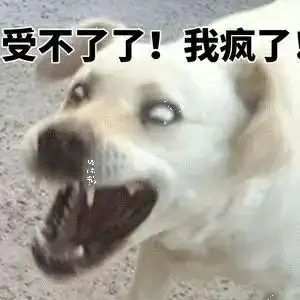 你鸡巴太细不要说话_表情包_斗图图片