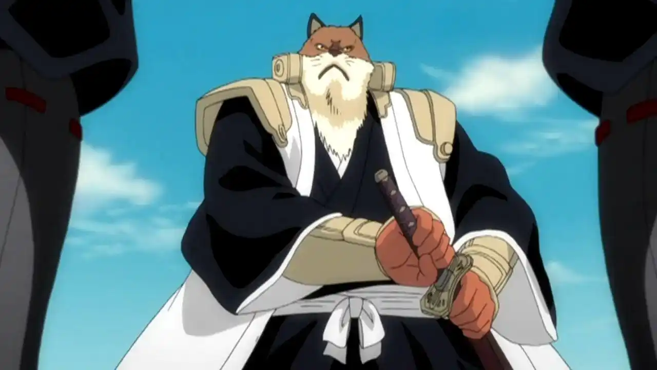 狛犬让我想起了死神里面的狛村左阵