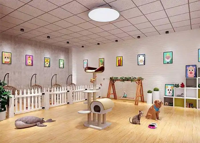 杭州宠物店装修:宠物店店内设计   宠物店内部装修注意灯光与颜色