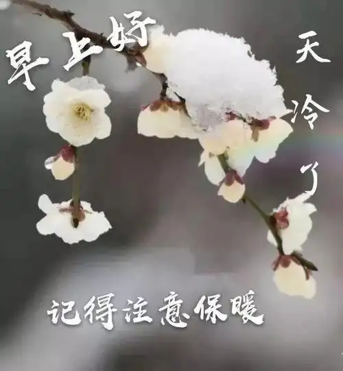 早安图片冬天早安问候语暖心的祝福图片带字天冷了注意保暖的祝福语