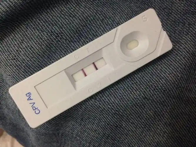 谁帮我看一眼细小测试纸?