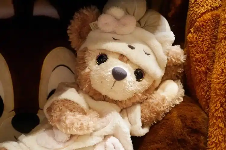 上海迪士尼  #达菲雪莉玫  #雪莉玫上迪的睡衣可以后面给开条缝吗!