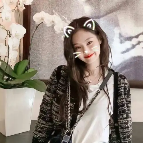 分享一些我用过和打算用的jennie头像们