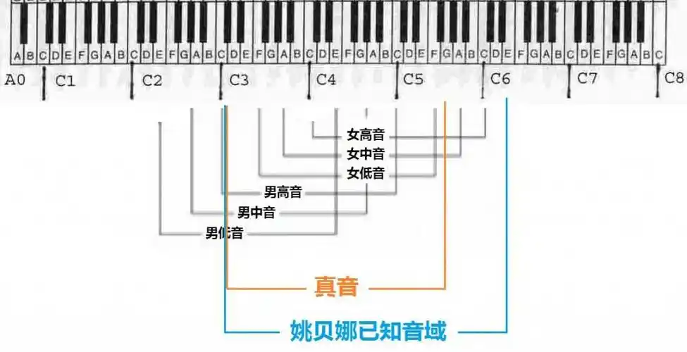 歌唱及乐器音域大全