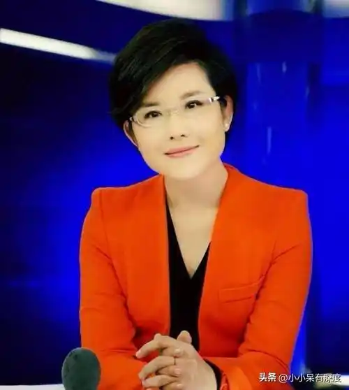 网友:王宁,才是目前央视一姐!_节目_新闻_访谈