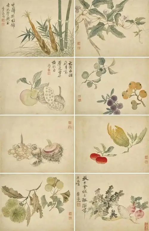 恽南田的没骨花卉画,实在太漂亮了!