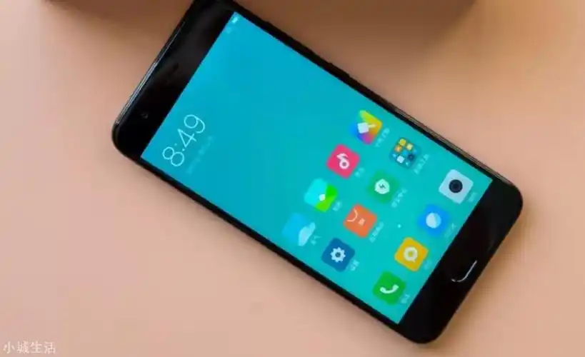 经典钉子户小米6