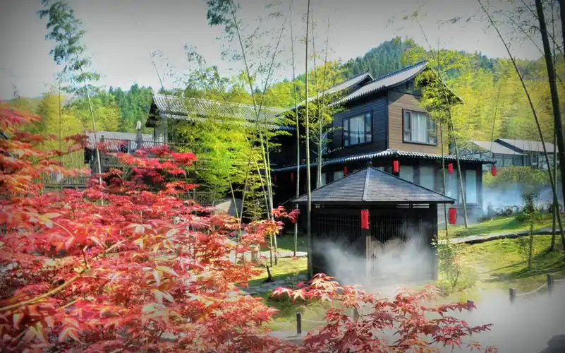 养生度假民宿把最美的山间云海囊括其中,把极富古风韵味的棋,琴,诗,画