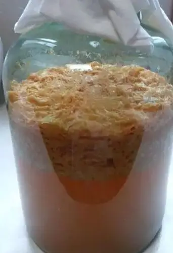 这5种自制花肥方法,家里人再也不会嫌臭啦!