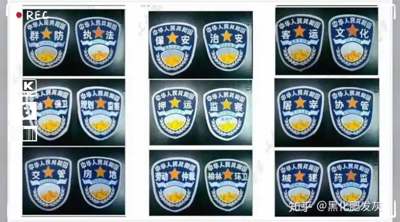 目前大部分执法保安的臂章都是模仿警察的.