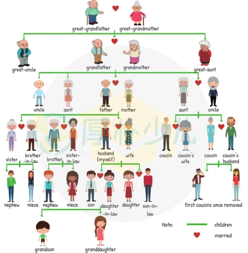 家庭成员英文称呼汇总剑桥少儿英语官方初级词汇家庭篇family
