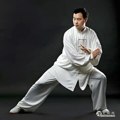 十大太极杰出青年之朱峰2023太极网传播盛典年度表彰人物