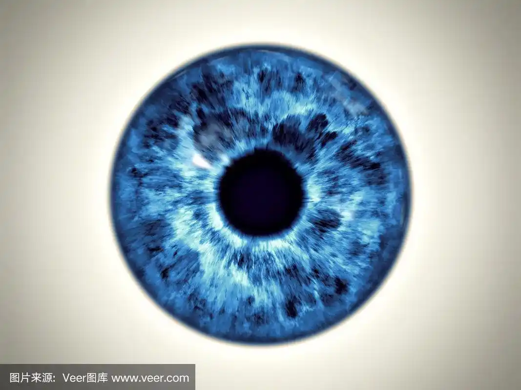 蓝眼虹膜