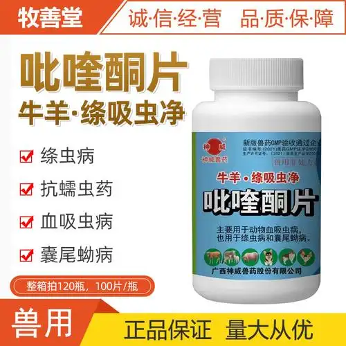 包邮狗猫羊驱虫药兽药兽用吡喹酮片牛羊脑包虫打虫100片兽药国标