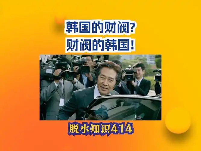 韩国的财阀?财阀的韩国!