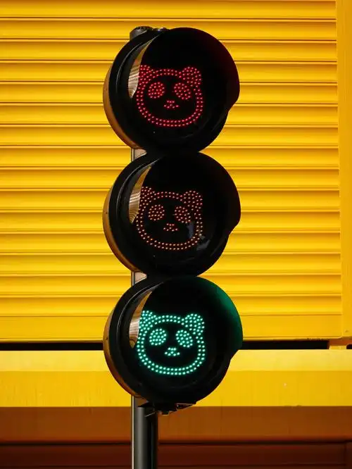 咱就是说从没见过这么可爱的红绿灯