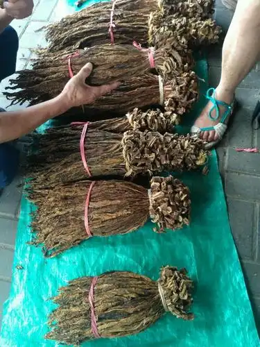 终于买到叶子烟了!,老爸可高兴了!