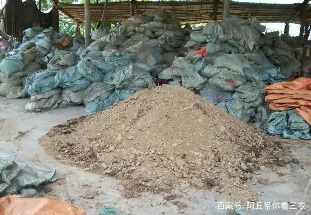 新鲜的鸡粪,能兑水浇地吗?