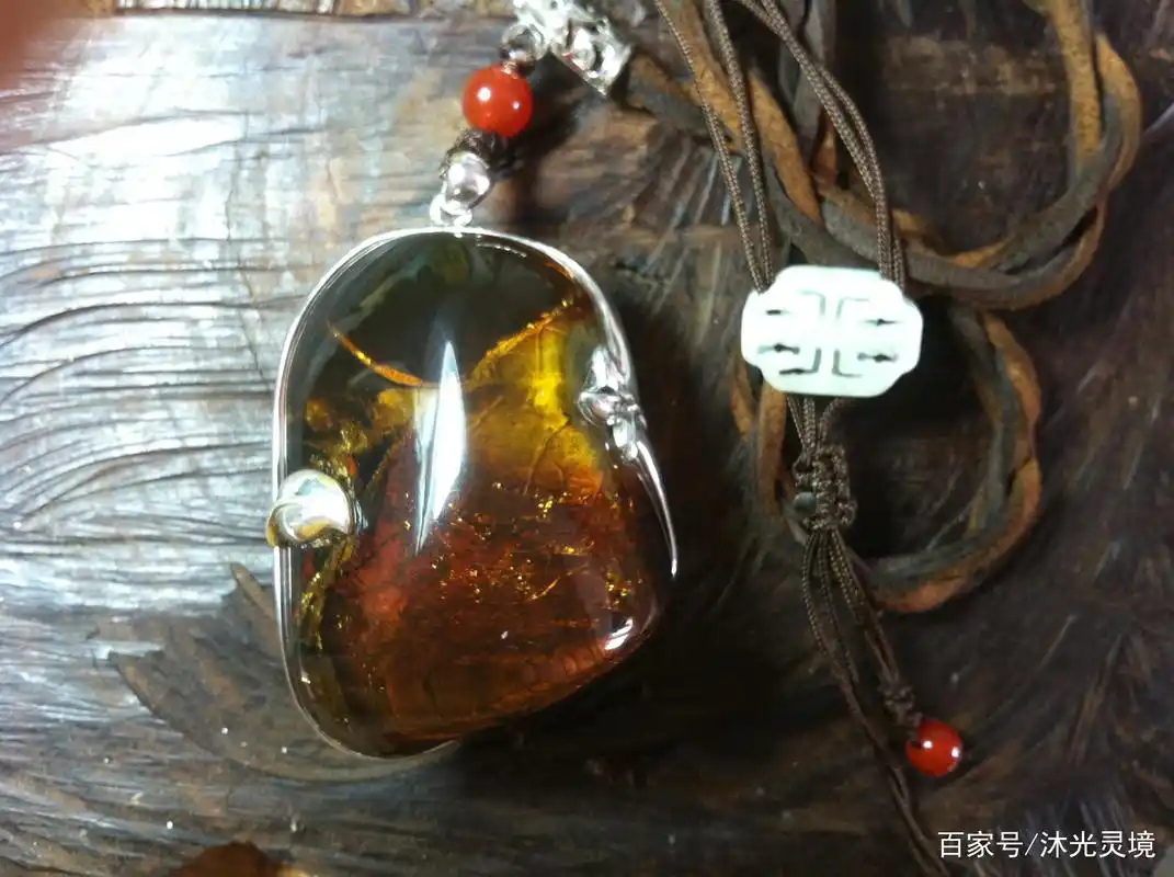 清晰分明的缅甸树叶琥珀(灵珀)精品欣赏