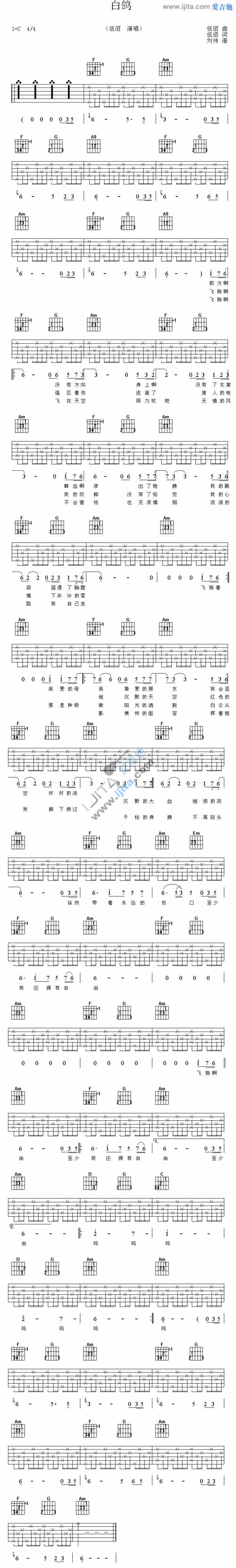 白鸽 吉他谱