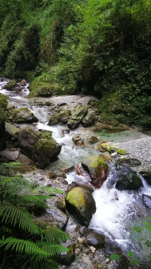 小溪清澈见底凉如冰