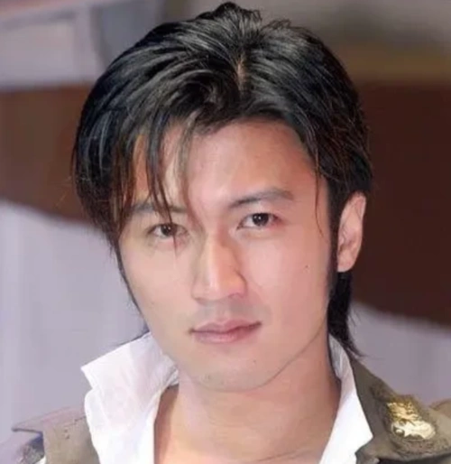 总之,谢霆锋一生来来去去,也都是在张柏芝和王菲之间周旋,而谢贤则不