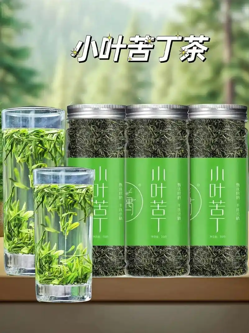 小叶苦丁茶新茶正宗青山绿水嫩芽叶新货? 苦丁茶太赞了
