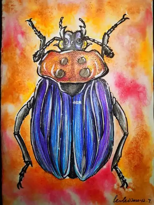 速写昆虫,彩铅绘画,画画 手绘 创意美术