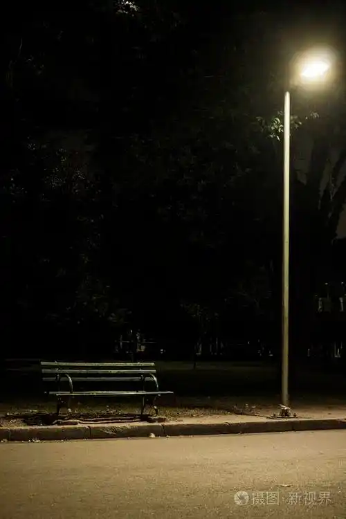 在晚上在公园的长凳