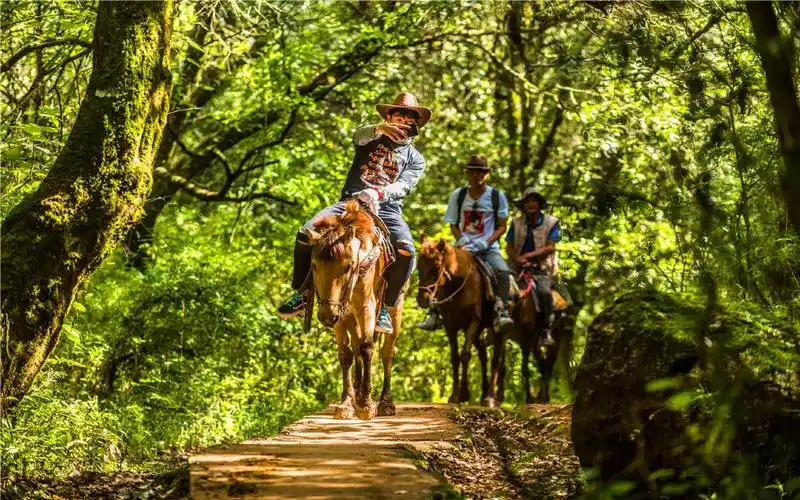 东方福利网 丽江-中国云南丽江拉市海一日游【茶马古道骑马体验 可选