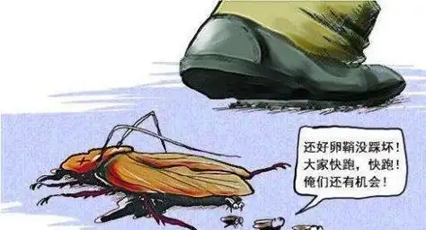 九成人不知蟑螂天敌是谁家里面放个它蟑螂全消失了