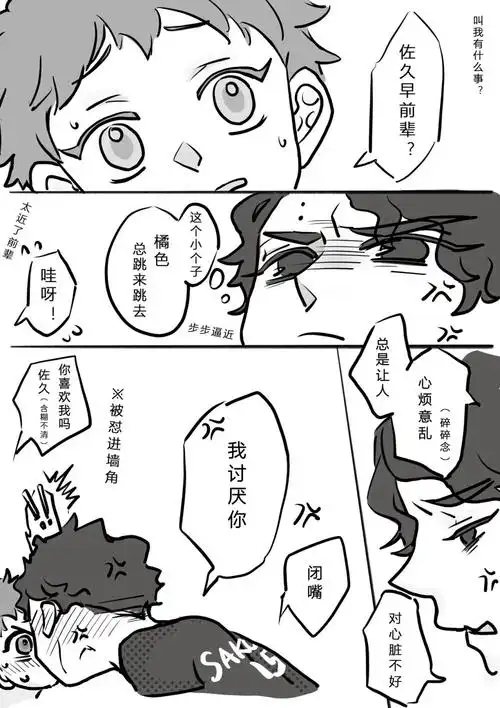 排球少年  #日向翔阳  #佐久早聖臣  #小排球yyds  #all日