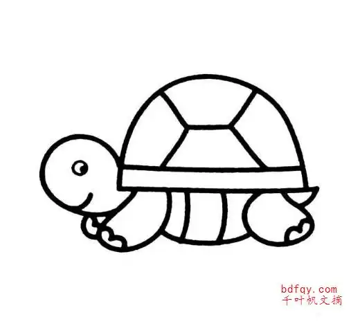 龟简笔画