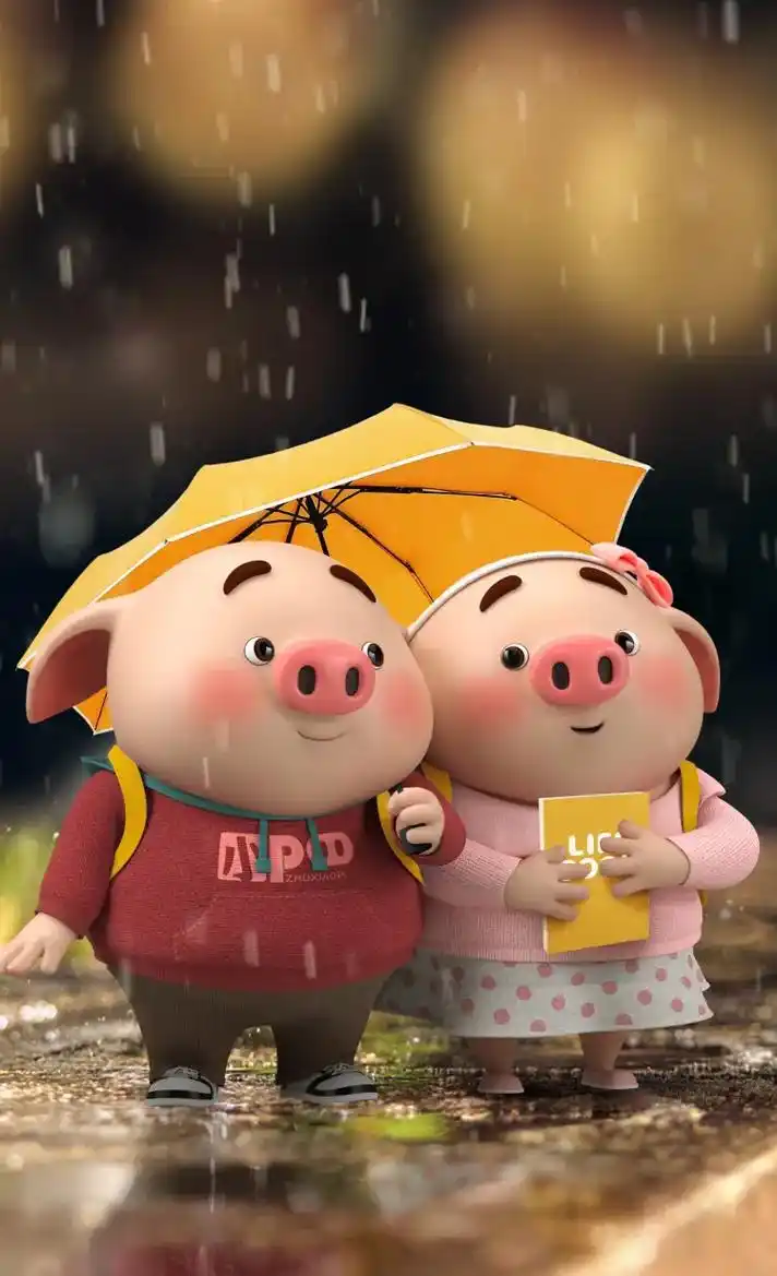 精美壁纸@猪小屁之家 - 抖音