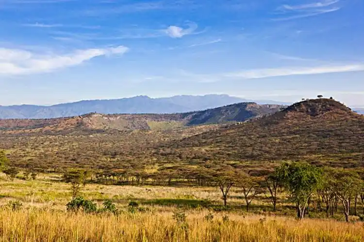 刚果盆地的生态环境