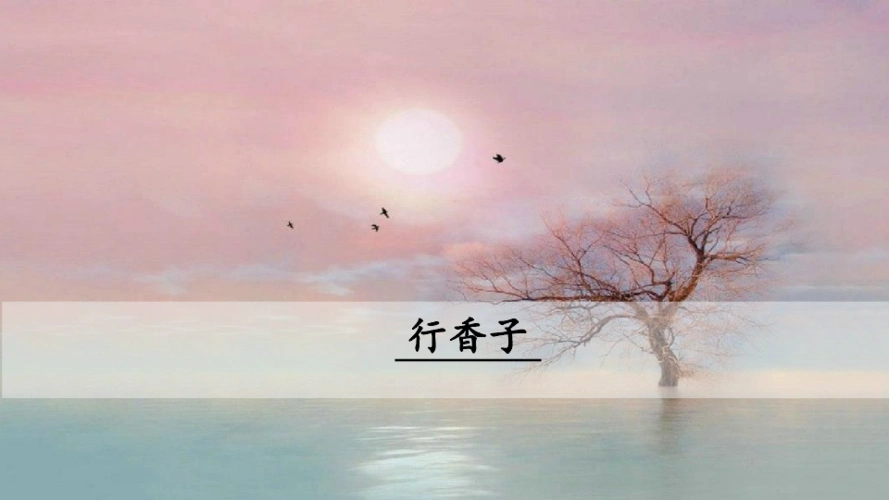 课外古诗词诵读二行香子课件14张ppt