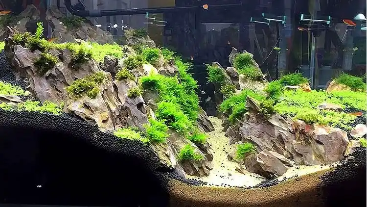 鹿凌青 鱼缸造景松皮石 鱼缸造景石假山盆景大松皮石青龙石水族草缸