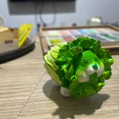 一只菜狗的诞生