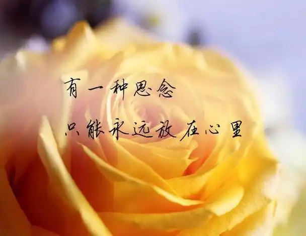 见或不见,依然相思!