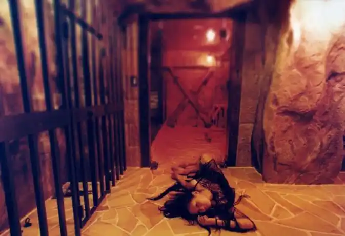 nathalie daoust:堕落中的世界