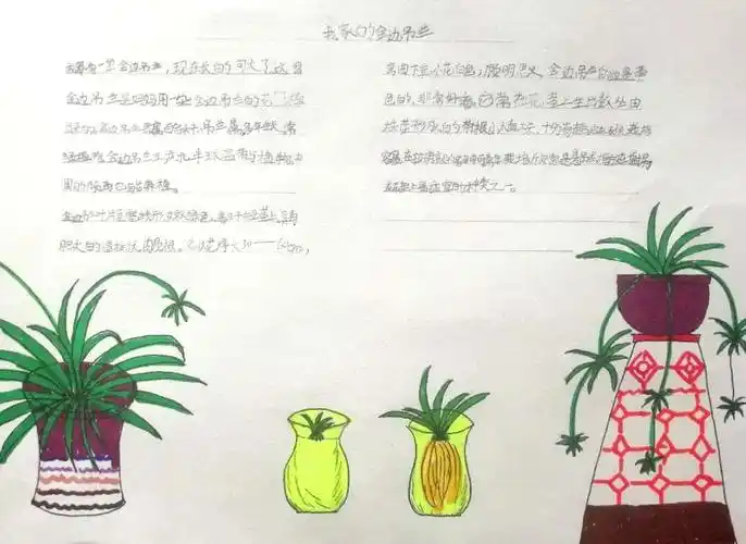 西安新知小学 二年级自然笔记 优秀作品展