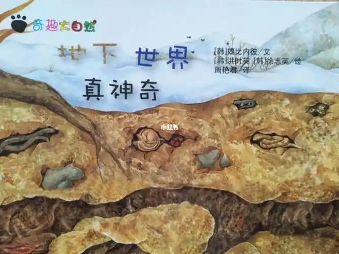 地下世界真神奇